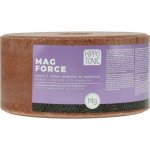HIPPOTONIC Salt Lick Magforce 3 kg – Hledejceny.cz