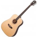 Washburn WD10NS