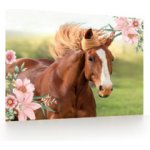 Karton P+P Podložka na stůl 60x40cm kůň – Zboží Dáma