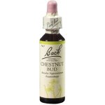 Bachovy květové esence Kaštan koňský poupě Chestnut Bud 20 ml – Hledejceny.cz