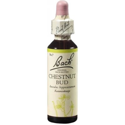 Bachovy květové esence Kaštan koňský poupě Chestnut Bud 20 ml – Hledejceny.cz