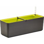 Plastia Berberis samozavlažovací truhlík 60 x 19,5 cm antracit/ zelený