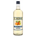 R. Jelínek Moravská meruňka 35% 1 l (holá láhev) – Sleviste.cz