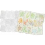 Reliéfní podložky hmyzu Roylco, set 16 podložek – Zboží Dáma