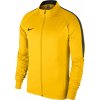 Pánská mikina Nike M NK DRY ACDMY18 TRK JKT K 893701-719