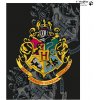 Deka HALANTEX Fleece deka Harry Potter 130x170