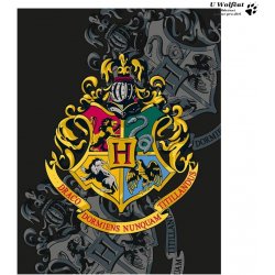 HALANTEX Fleece deka Harry Potter 130x170