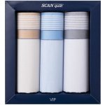 SCANquilt pánské kapesníky VIP 3 ks G104 – Zboží Dáma