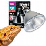 Arcadia Halogen Sun Basking Spot 75 W – Hledejceny.cz