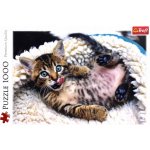 Trefl 10448 Veselé kotě 1000 dílků – Hledejceny.cz