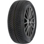 Nankang AW-6 215/55 R17 98W – Hledejceny.cz