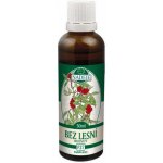 Naděje P27 Lesní bez hroznatý tinktura z pupenů 50 ml – Hledejceny.cz