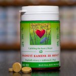 TCM Herbs Spadnutí kamene ze srdce 100 tablet – Hledejceny.cz