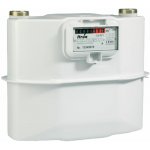 ELSTER Plynoměr BK - G6 dvouhrdlový, rozteč 250 mm – Zbozi.Blesk.cz