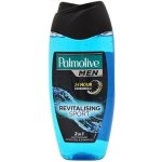 Palmolive for Men Revitalising Sport sprchový gel 250 ml – Zboží Dáma