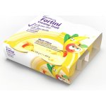 FORTINI CREAMY FRUIT MULTI FIBRE LETNÍ OVOCE POR SOL 4X100G – Hledejceny.cz