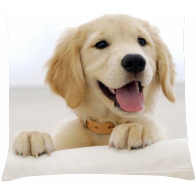 Mybesthome s motivem psa 26 Retriever 40 x 40 cm