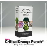 Dutch Passion AUTO Critical Orange Punch semena neobsahují THC 3 ks – Hledejceny.cz