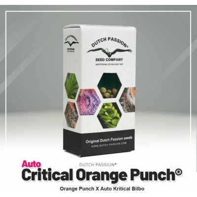 Dutch Passion AUTO Critical Orange Punch semena neobsahují THC 3 ks – Hledejceny.cz