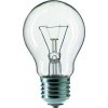 Žárovka TES-LAMP 100W A55 240V E27