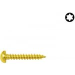 Univerzální vrut PH TORX ZB 3,0x030 – Sleviste.cz