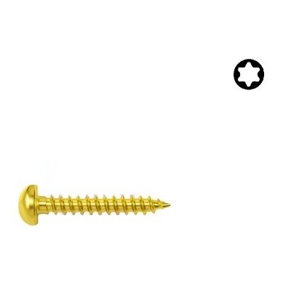 Univerzální vrut PH TORX ZB 3,0x030 – Sleviste.cz