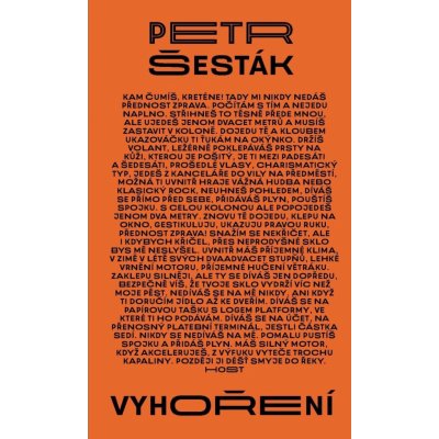 Vyhoření - Petr Šesták