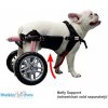 Autovýbava Walkinpets Neoprénový postroj k vozíku pro psa Belly Belts XS