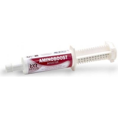 REKOR Aminoboost 60 ml – Hledejceny.cz