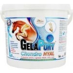 Gelapony Chondro Hyal 1,8 kg – Hledejceny.cz