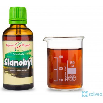 Bylinné kapky Slanobýl tinktura 50 ml – Hledejceny.cz