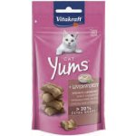 Vitakraft Cat Yums Jitrnice 40 g – Hledejceny.cz