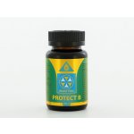 Bewit Prawtein Protect B 100 ml – Hledejceny.cz