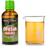 Ořešák vlašský tinktura z pupenů (gemmoterapie) 50 ml doplněk stravy – Hledejceny.cz