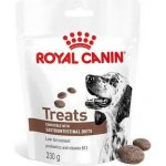 Royal Canin Dog Gastrointestinal Treats 230 g – Sleviste.cz