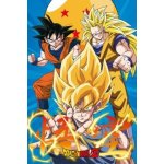 Plakát Dragon Ball - Z3 Gokus Evo – Sleviste.cz