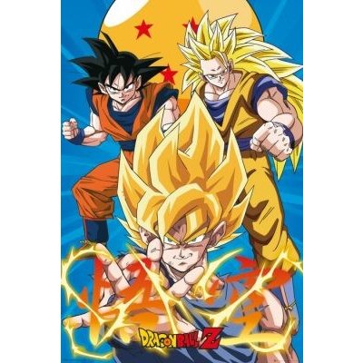 Plakát Dragon Ball - Z3 Gokus Evo – Sleviste.cz