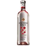 Bacardi Razz 32% 1 l (holá láhev) – Sleviste.cz