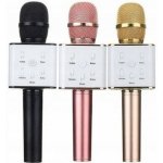 Karaoke bluetooth mikrofon s reproduktorem černá – Zboží Dáma