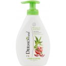 Sprchový gel Dermomed Aloe & Pomegranate sprchový gel 1 l