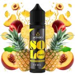 Bombo Solo Juice S & V Pineapple Peach 15 ml – Zbozi.Blesk.cz