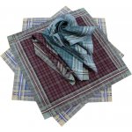 Etex Kapesníky pánské česaná bavlna 6ks – Zboží Dáma