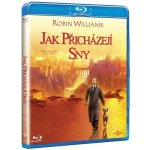 Jak přicházejí sny BD – Zboží Dáma