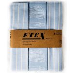 Etex kuchyňské utěrky EGYPTSKÁ BAVLNA U02-E modré s proužky a kuchyňskými potřebami 3 kusy 50x70cm – Zboží Dáma Etex kuchyňské utěrky EGYPTSKÁ BAVLNA U02-E modré s proužky a kuchyňskými potřebami 3 kusy 50x70cm – Zboží Dáma