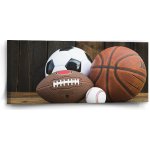 Sablio Obraz Sportovní míče - 110x50 cm – Hledejceny.cz