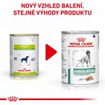 Royal Canin Veterinary Diet Dog Diabetic 410 g – Hledejceny.cz