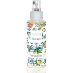 RYOR Citrus Spirit tělový suchý olej sprej 100 ml – Zboží Dáma