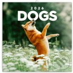 Psi 2026 - nástěnný kalendář – Hledejceny.cz