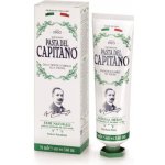 Pasta Del Capitano CAPITANO 1905 NATURAL HERBS premium bylinná s mikrogranulemi 75 ml – Hledejceny.cz