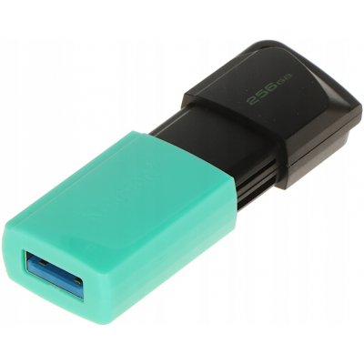 Kingston DataTraveler Exodia M 256GB DTXM/256GB – Zboží Živě